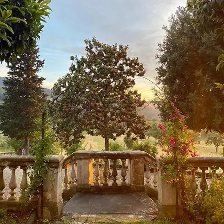 Lya * Arezzo