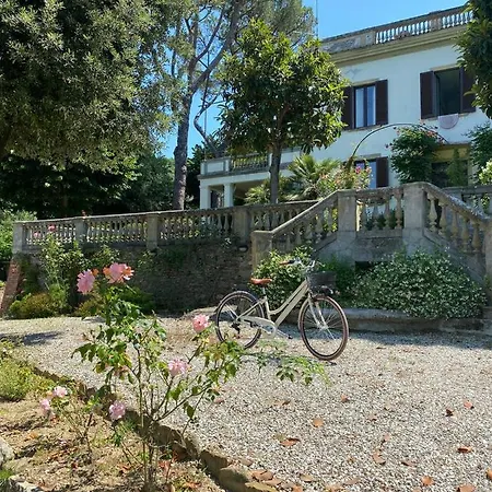 Lya * Arezzo
