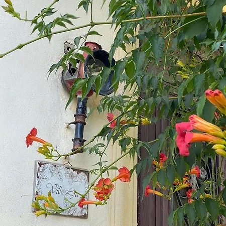 Villa Lya Arezzo