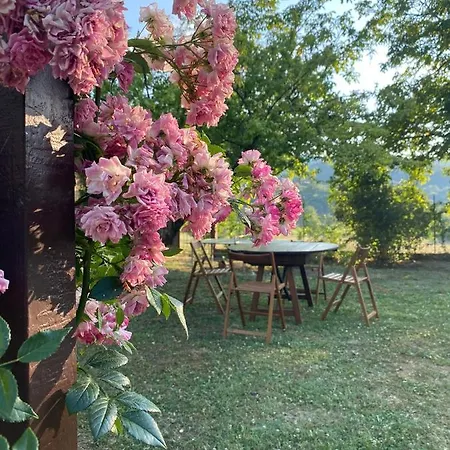 Lya Villa Arezzo