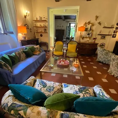 Lya Vila Arezzo