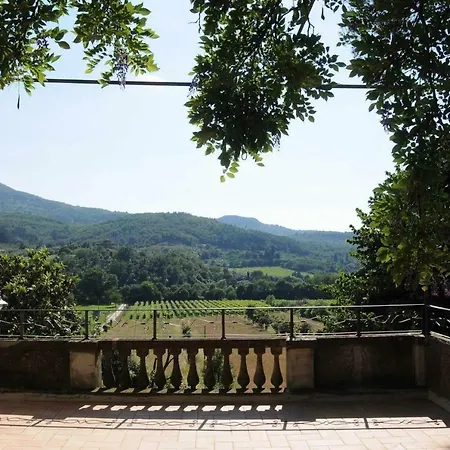Lya * Arezzo