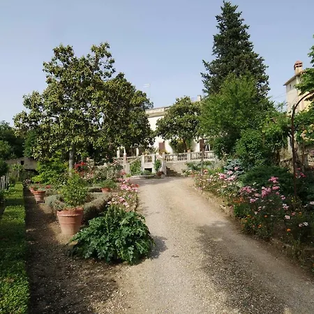 Lya * Arezzo