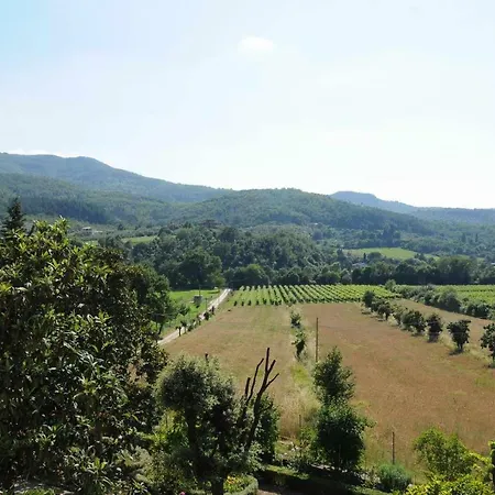 Vila Lya Arezzo